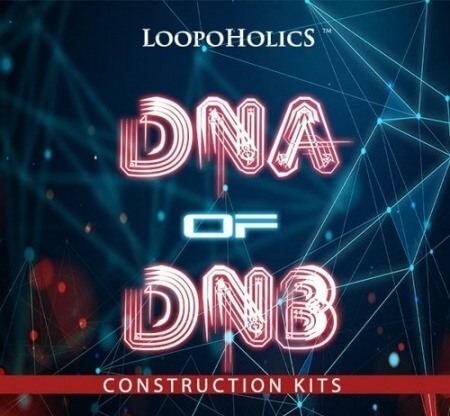 Loopoholics Dna of DnB Construction Kits WAV MiDi